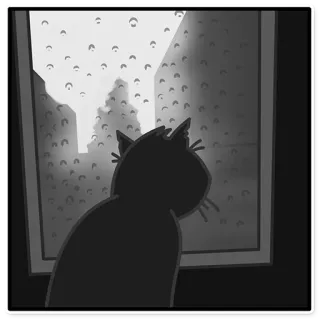 😢 cat, window, rain, sad, lonely, black cat, rainy day, grayscale telegram sticker