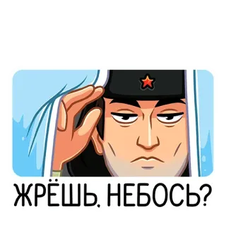 😞 ЖРЁШЬ, НЕБОСЬ? soldato, russo, militare, URSS telegram sticker