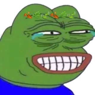 😂 Pepe the Frog pepe, katak, meme, menangis whatsapp sticker