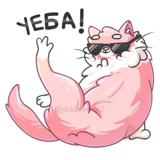 😎 ЧЕБА! kucing, kacamata hitam, menyinggung, rusia, meme telegram sticker