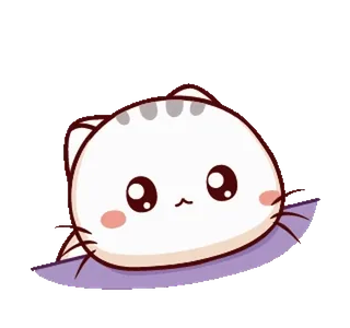 😕 gato, fofo, animal, desenho animado, kawaii, adesivo whatsapp sticker