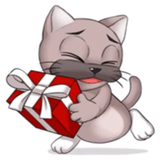💝 猫, 子猫, プレゼント, 贈り物, 可愛い, 動物, お祝い telegram sticker