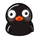 😳 uccello nero, carino, cartone animato, animale, uccello whatsapp sticker
