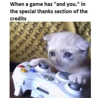 😭 When a game has "and you." in
the special thanks section of the
credits meme, kucing, gaming, kredit, ucapan terima kasih telegram sticker