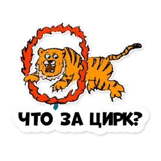 🎉 ЧТО ЗА ЦИРК? тигр, цирк, животные, русский, наклейка telegram sticker