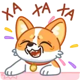 😂 XA XA XA cane, corgi, ridere, felice, carino, divertente, festa telegram sticker