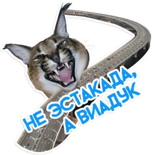🚦 НЕ ЭСТАКАДА, А ВИАДУК floppa, karakal, mem, kot, rosyjski, zwierzę telegram sticker