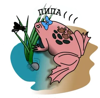 Узкорот и Пипа telegram stickers