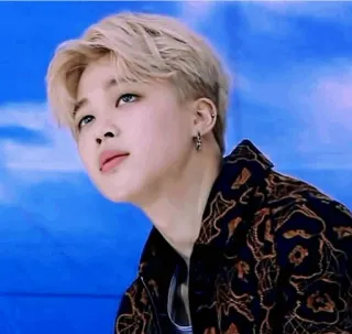 🍃 Jimin Jimin, BTS, K-Pop, penyanyi, idola, penampil whatsapp sticker