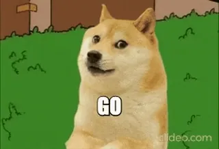 🏃 GO doge, meme, go, dog telegram sticker