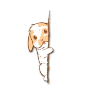 😨 ウサギ, かわいい, 動物, ステッカー, イラスト, 漫画 telegram sticker
