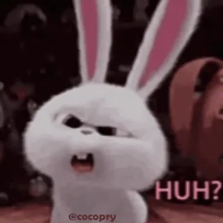 🤨 HUH? bunny, rabbit, confused, huh, questioning, animal telegram sticker