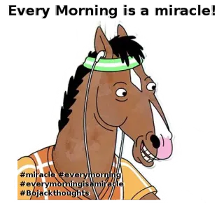 BojackByViv whatsapp stickers