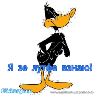 😎 Daffy Duck Я зе лутфе взнаю! Comicfigur, Ente, Lustig, Sticker telegram sticker