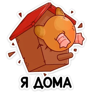 🏡 Я ДОМА pajarera, pegatina, dibujos animados, animal telegram sticker
