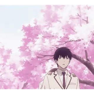 😴 anime, boy, sakura, uniform, cherry blossoms, character telegram sticker