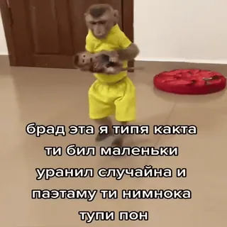 🐵 брад эта я типя какта
ти бил маленьки
уранил случайна и
паэтаму ти нимнока
тупи пон mono, muñeca, animal, ropa whatsapp sticker