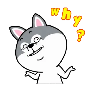 🤷‍♂️ why? dog, question, cartoon, confused, funny, expression, sticker whatsapp sticker