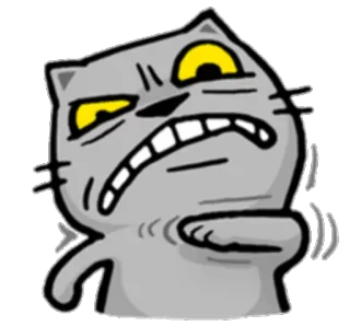 😈 Katze, wütend, Cartoon, Meme telegram sticker