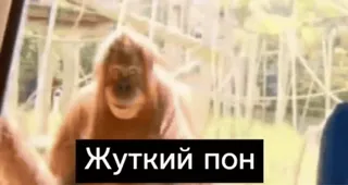 😈 Жуткий пон telegram sticker