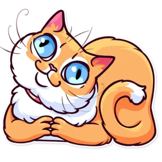 🙏 cat, orange cat, animal, pet, cute, sticker telegram sticker