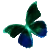 🦋