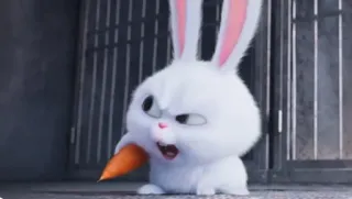 🐰 Snowball The Secret Life of Pets conejo, zanahoria, enfadado, conejito, dibujos animados, mascota whatsapp sticker