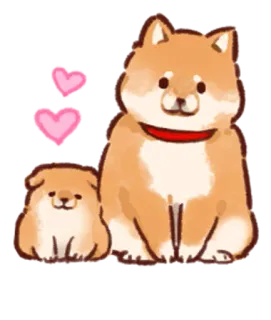 🥰 cane, cani, Shiba Inu, carino, cuori, cucciolo whatsapp sticker