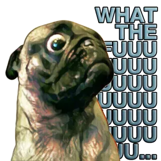 😫 WHAT THE FUUUUUUUUUUUUUUUUUU... 개, 퍼그, 충격, 웃긴, 밈, 외침 telegram sticker