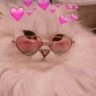 🩰 Katze, Herzen, Brille, niedlich, rosa whatsapp sticker