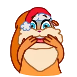 Squirrel whatsapp stickers