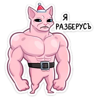💪 Я РАЗБЕРУСЬ Katze, Sphynx, muskulös, Weihnachtsmütze, lustig, Cartoon whatsapp sticker