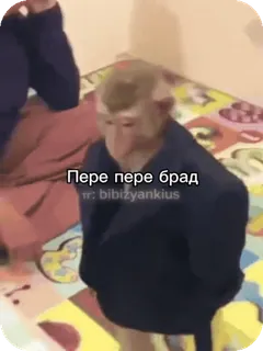 🌟 Пере пере брад
tr: bibizyankius monkey, suit, animal, meme, russian telegram sticker