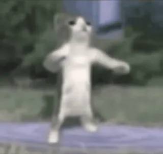 🌟 Cat Dancing Cat Meme whatsapp sticker