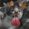 💋