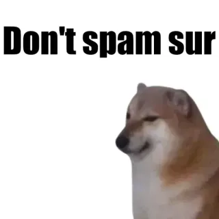 😡 Don't spam sur doge, mem, mem internetowy, pies, zwierzę, spam, bez spamu, humor telegram sticker