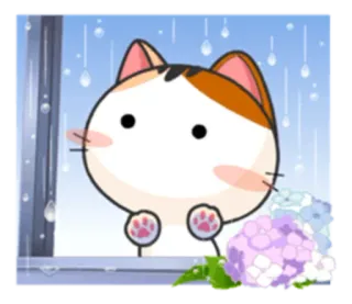 🌧 cat, rain, cute, flowers telegram sticker