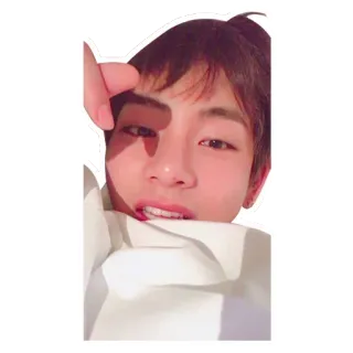 😍 telegram sticker