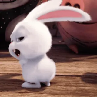 Кролики/Bunny @freetopsticker whatsapp stickers