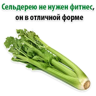 😉 Сельдерею не нужен фитнес, он в отличной форме aipo, fitness, saudável, legume, comida, engraçado telegram sticker