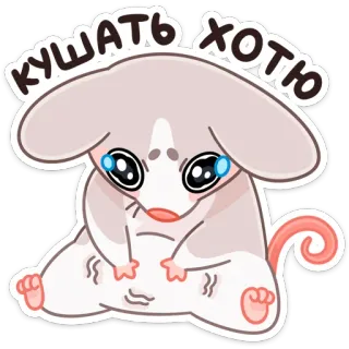 ☹️ КУШАТЬ ХОТЮ mouse, cute, hungry, food, animal, pleading telegram sticker