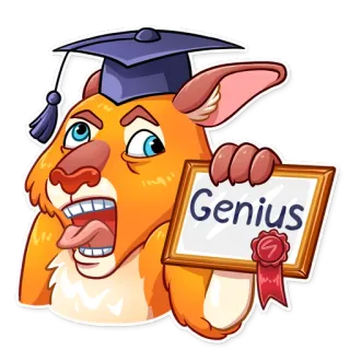 Mr. Kangaroo whatsapp stickers