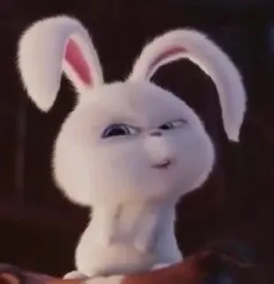 🍓 Snowball The Secret Life of Pets กระต่าย, บันนี่, สัตว์, สัตว์เลี้ยง, การ์ตูน, น่ารัก, สโนว์บอล, เรื่องลับแก๊งขนฟู telegram sticker