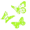🦋