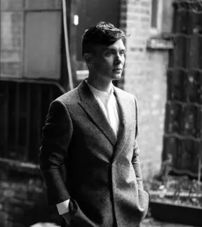 🌵 Cillian Murphy aktor, pria, potret, hitam putih, setelan telegram sticker