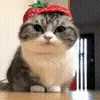🍓