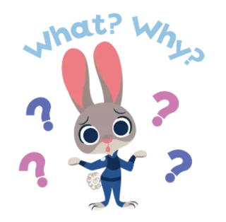 ❓ whatsapp sticker