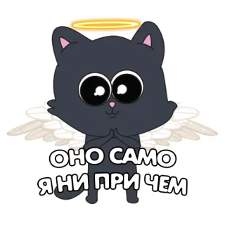 😇 ОНО САМО
Я НИ ПРИ ЧЕМ gatto, angelo, aureola, divertente, meme, carino, cartone animato telegram sticker