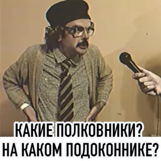 ❓ КАКИЕ ПОЛКОВНИКИ? НА КАКОМ ПОДОКОННИКЕ? telegram sticker
