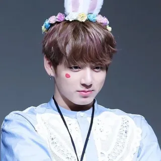 ♥ Jungkook Jungkook, telinga kelinci, K-pop, Idol, mahkota bunga whatsapp sticker